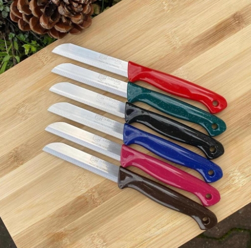 Picture of RBT-Solingen Simli Tırtıklı Sebze Meyve Bıçağı 6 Adet Turuncu Simli